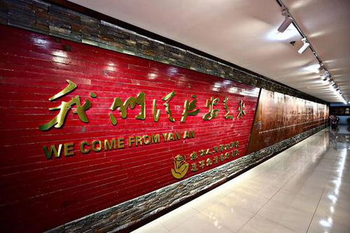 传承鲁艺精神，辽宁儿艺六十年铸就儿童文艺精品